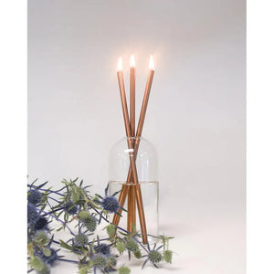 Everlasting Candle Sticks