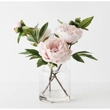 Load image into Gallery viewer, Peony Mix in Vase - Light Pink