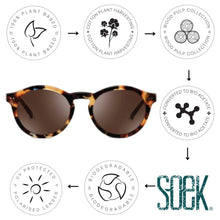 Load image into Gallery viewer, Otis Honey Tort Sunglasses