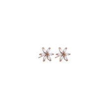 Load image into Gallery viewer, Crystal Star Flower Crystal Studs