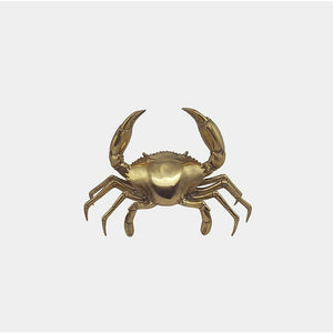 Gold Mud Crab - Medium