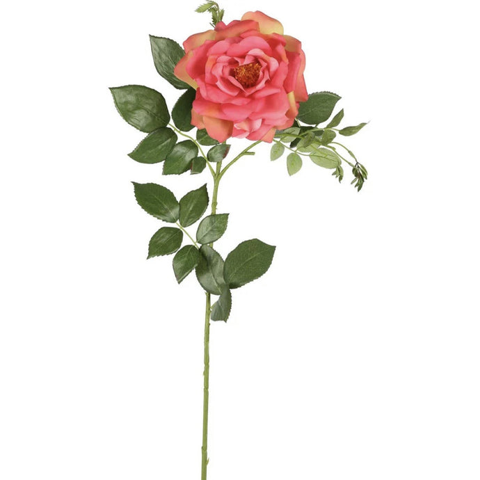 Chelsea Rose Stem - 97cm Dark Pink